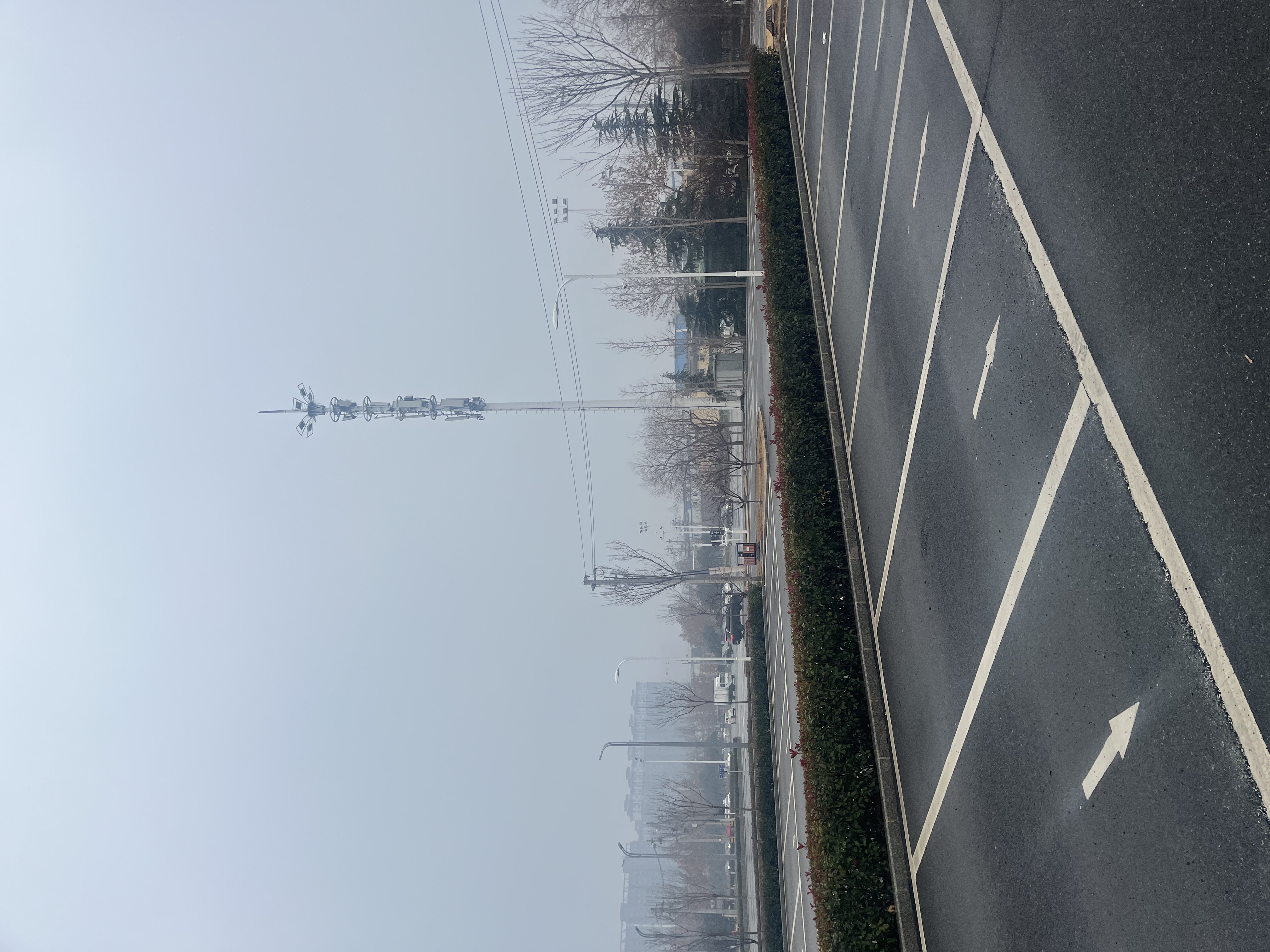IMG_2791.jpeg