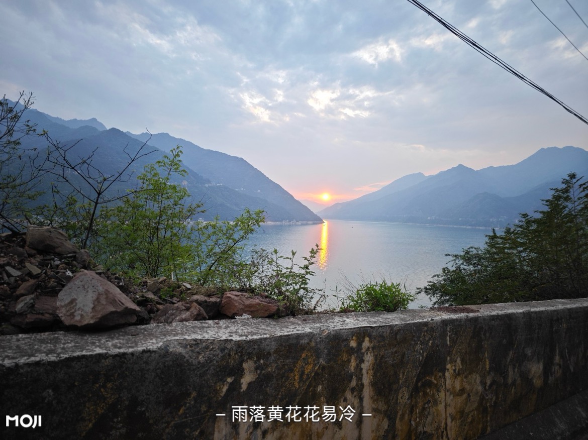 IMG_3119.jpeg